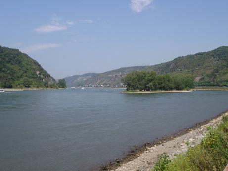 rhin1