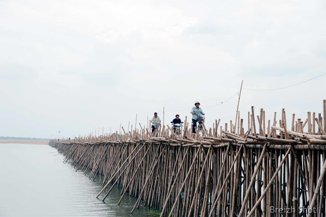 Le pont en bambou de Koh Paen à Kampong Cham - La structure en bambou pont en bambou - Koh Paen à Kampong Cham