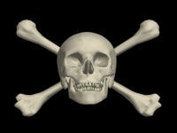 le crâne est le symbole de skull & bones.
