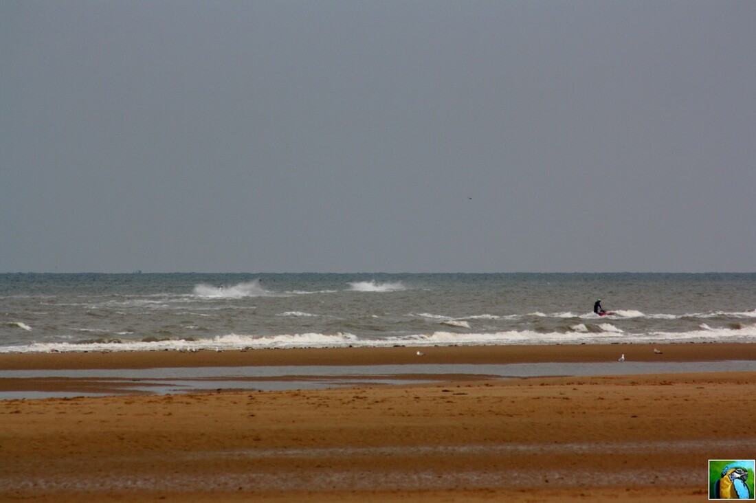 NORMANDIE mai 2017 : OMAHA  BEACH