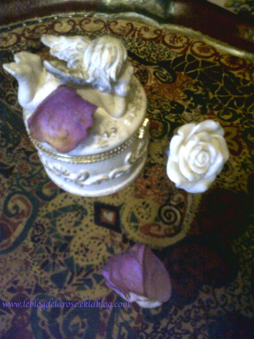 Rose and ring/ Bague et rose