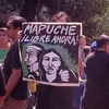 mapuche-libre.jpg