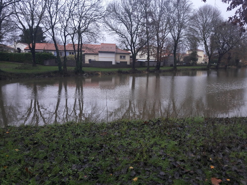 Jeudi - Etang du Passous à la Guyonnière