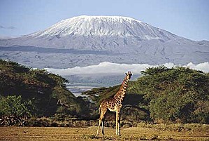 Mount Kilimanjaro pic Rex Features 660237839
