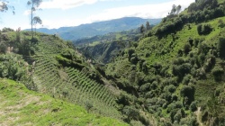 De Quilotoa à Otavalo