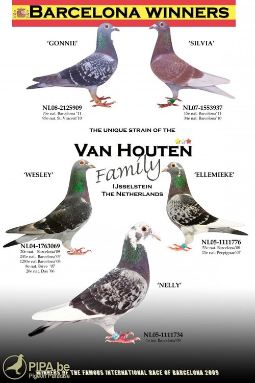 BON N°93 : Van Houten Coos de Ijsselstein (P-B) offre un couple d'œuf (mars) 