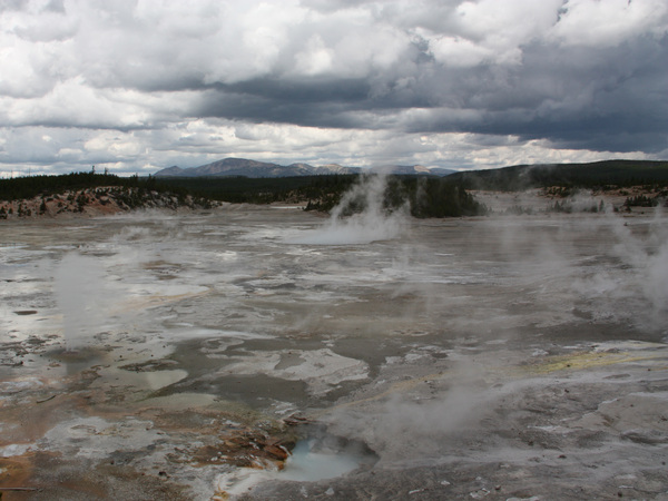 Norris Geyser Basin