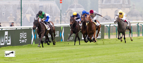 PRIX DE ROYAUMONT 