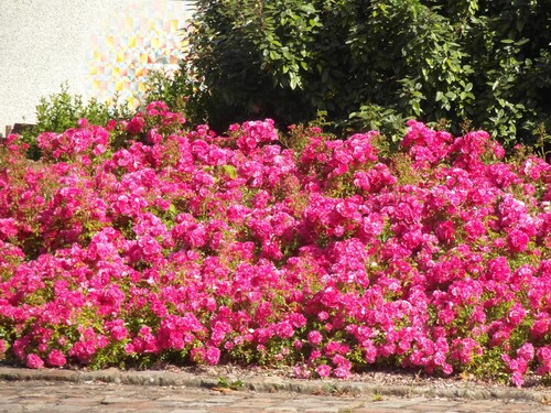 Journée en rose