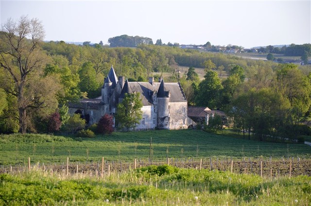 Blog de sylviebernard-art-bouteville : sylviebernard-art-bouteville, Bonneuil (Charente).