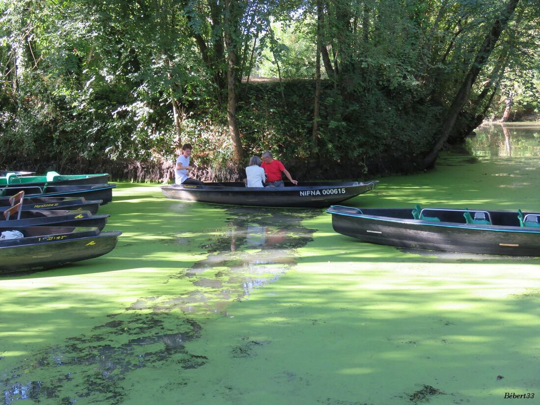 Maillezais dans le marais Poitevin