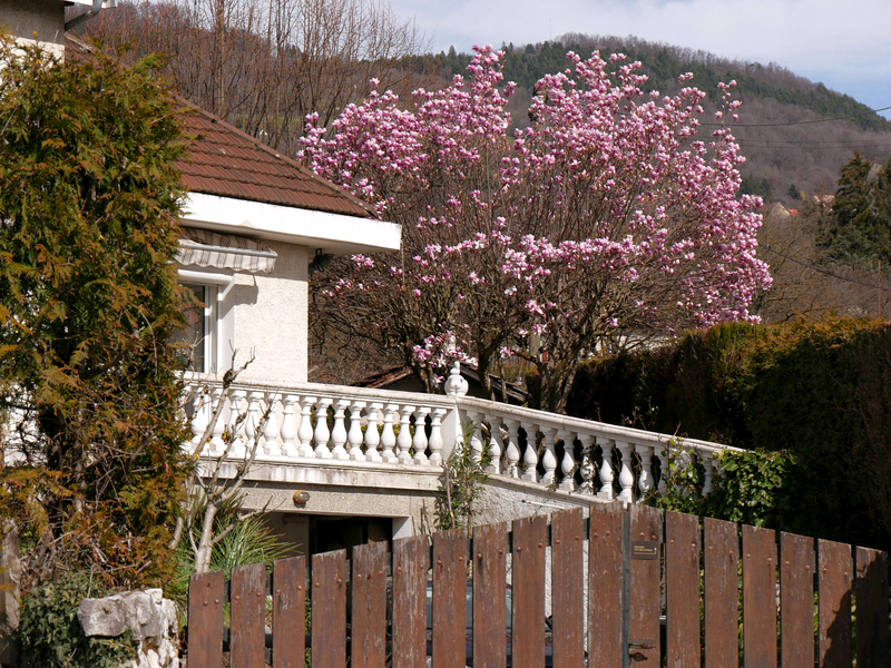 2023.03.13 Autour du village de Brié et Angonnes (département Isère)