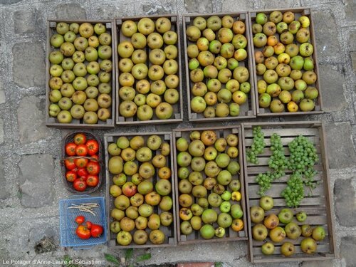 4 septembre : les récoltes de la fin d'été