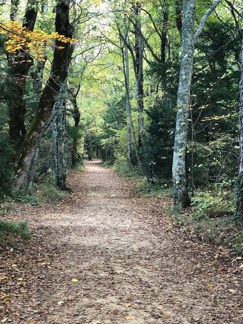 Autour de l'hôtellerie