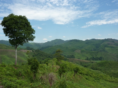 Nos debuts au laos : Mengla - Oudomxai