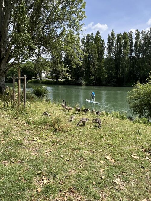 un petit tour au bord de l'eau, pour mes jeunes .. 