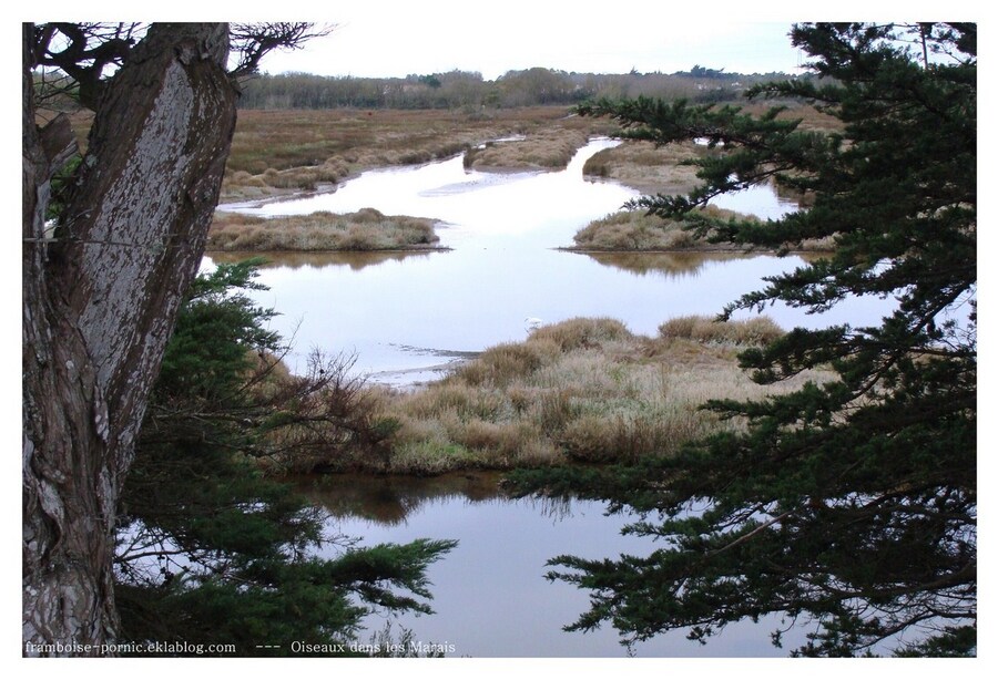 Petite virée sur l'île de Noirmoutier 