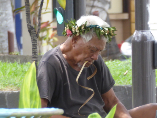 Le jardin de Paofai à Papeete