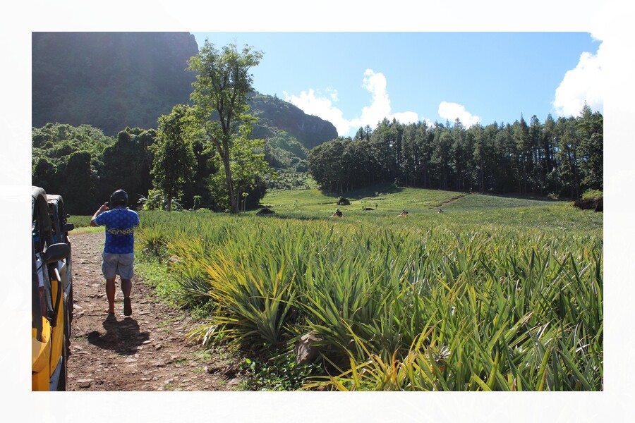 Moorea - Belvédère, montagne magique