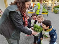 classe maternelle : visite à la jardinerie