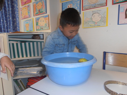 Apple bobbing !