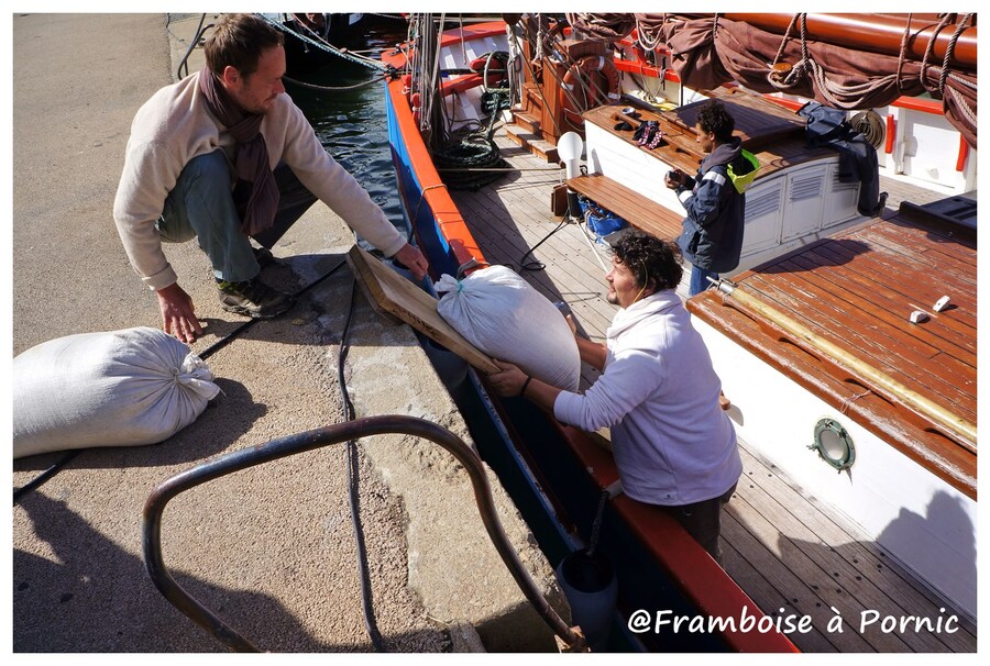 Pornic, chargement du sel 