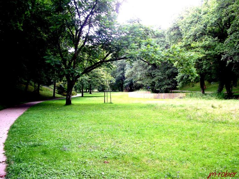 Limoges et ses parcs : Un détour vers le Parc du Moulin Pinard
