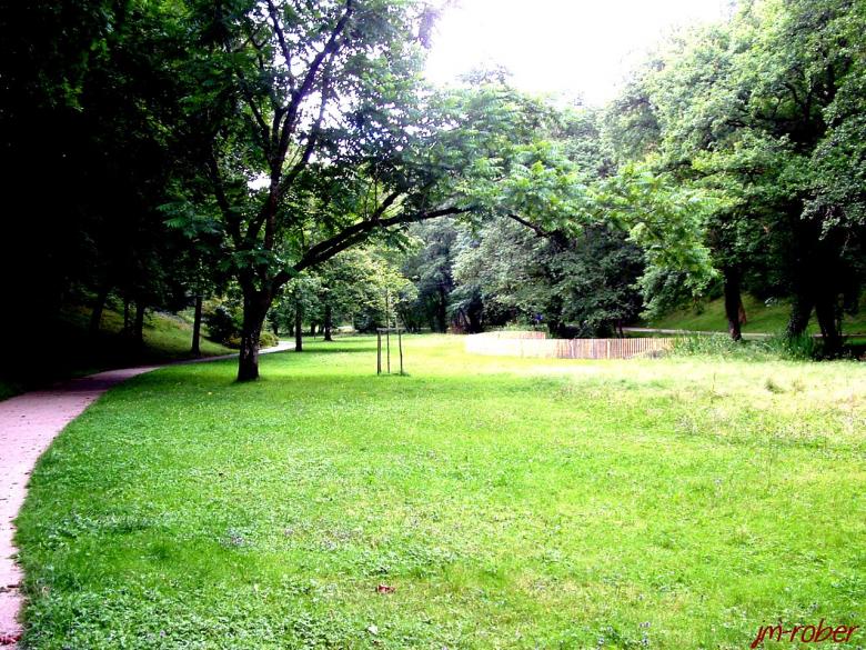 Limoges et ses parcs : Un détour vers le Parc du Moulin Pinard  