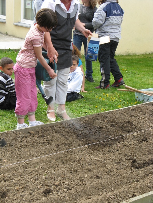 Le jardinage à l'école