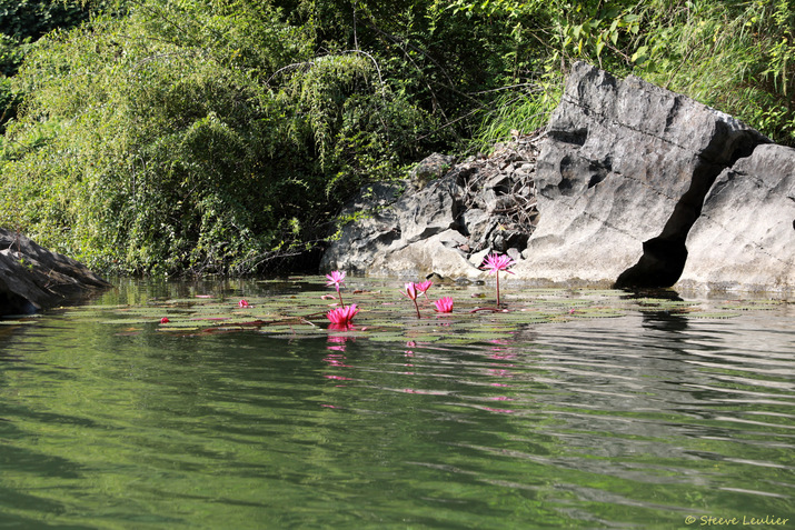 Complexe paysager de Trang An, Viêt Nam