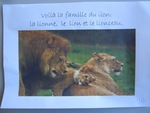 Quatrième exposé "Les lions"