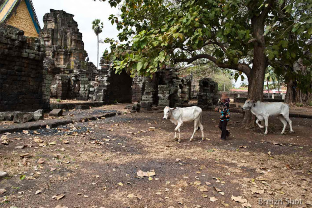  Cambodge traditionnel - Banteay Prei Nokor, Kampong Cham