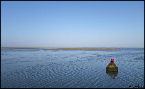 Baie d'Authie..