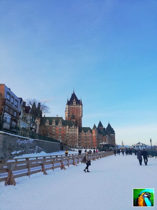 Canada : Québec et la féérie de Noël ( 1 )