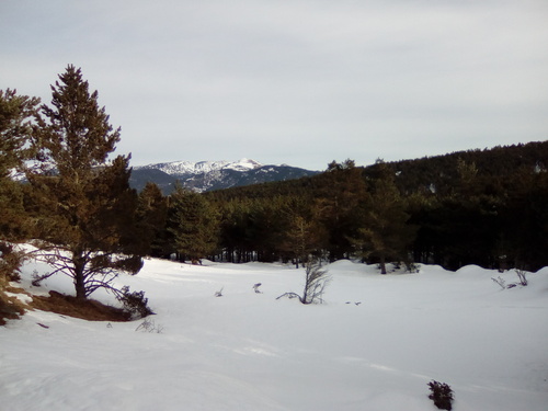 Cabane neige (1 nuit) : cabane de la Lladure par Caselles (Capcir) - 66