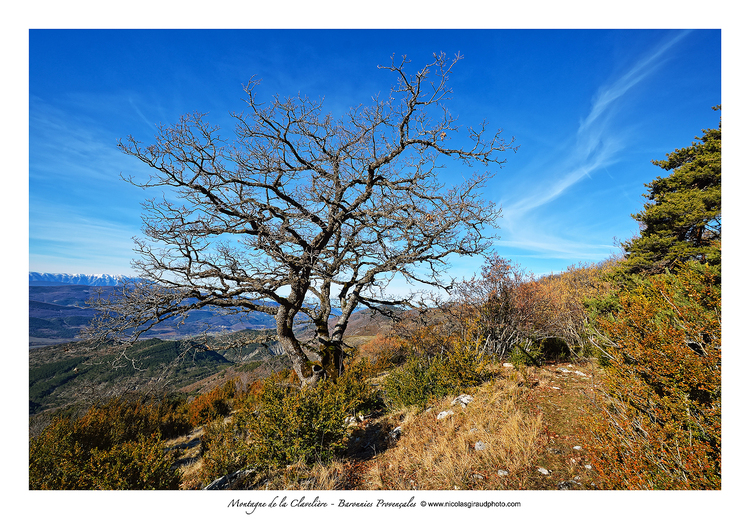 Montagne de la Clavelière au coeur des Baronnies Provençales