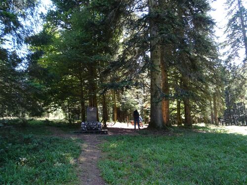 "Vosges 2022 - Après-midi du 11 juillet 2022 - Etang du Devin-Longemer"