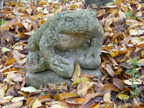 Gros plan sur...le massif du crapaud