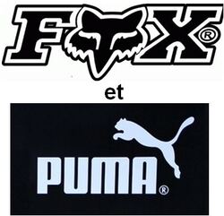 Présentation sur Fox et Puma