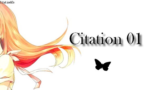 Citation 01