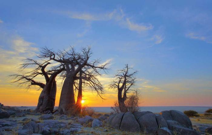 LE PARC NATIONAL DE CHOBE EST LE PREMIER PARC NATIONAL DU - BOTSWANA