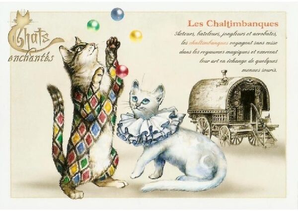 "Les Chats Enchantés" de Séverine Pineaux