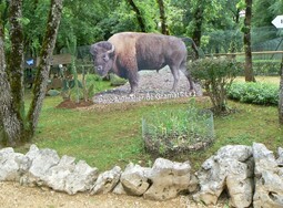 Le parc animalier de Gramat 