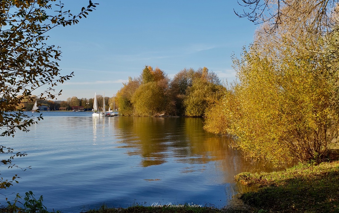 Couleurs d'automne aux étangs de Toutainville ( eure - 27 )