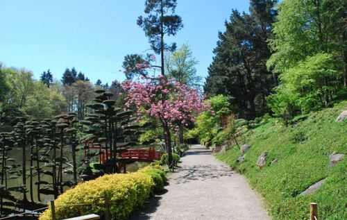 Parc oriental de Maulévrier