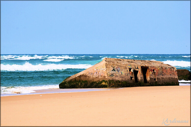 Photos de la Pointe de Lège - Cap Ferret