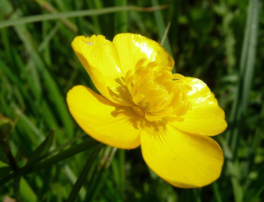 AnnickAmiens.St-Pierre.mai 2013