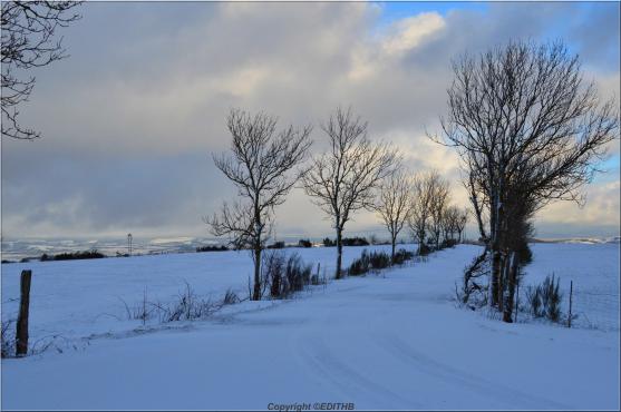 neige sur le levezou le 31-1-15
