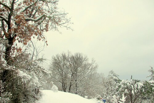 Vieille-Toulouse sous la neige : mon jardin