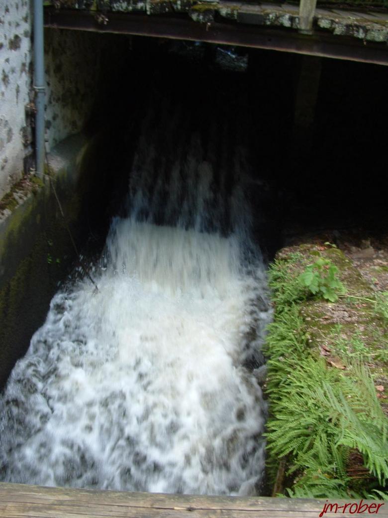 Limoges et ses parcs : Un détour vers le Parc du Moulin Pinard  